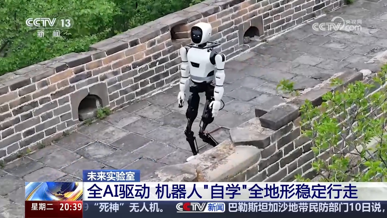金年会app新质消费力在中国｜我国人形机械人退化到甚么水平了？(图2)